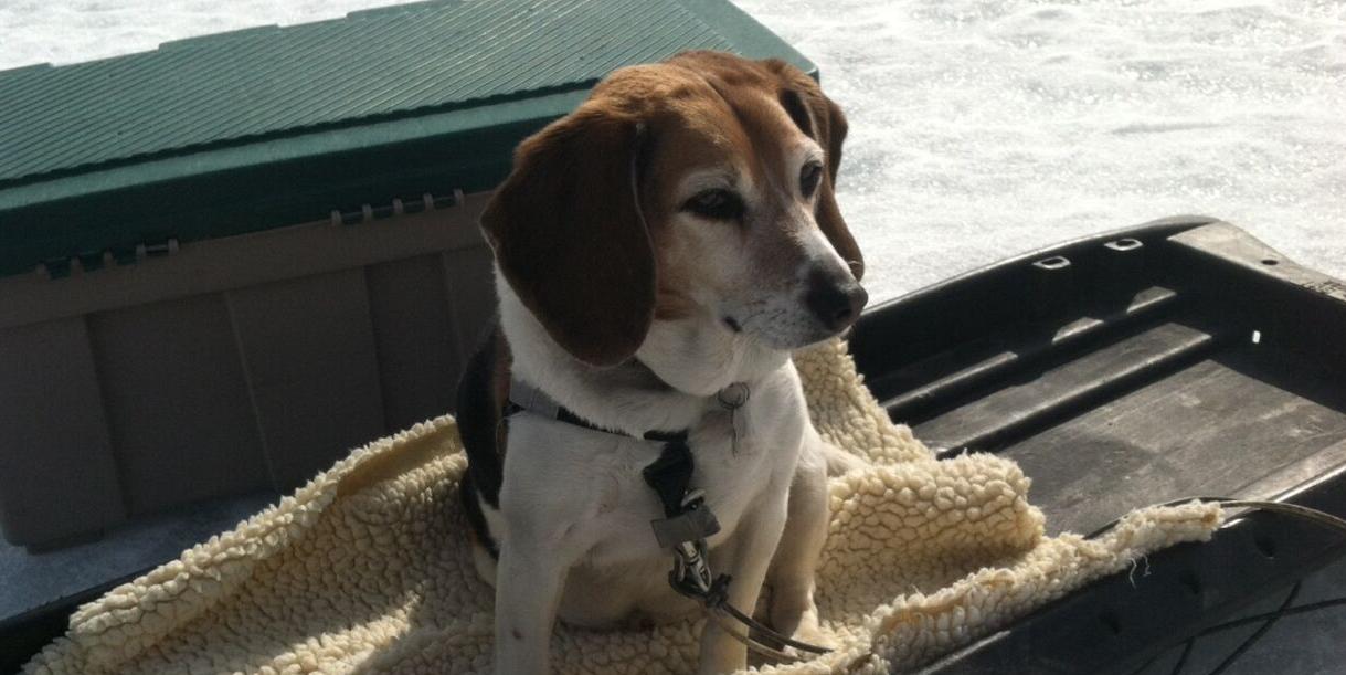 jacques ice fishing 2015.jpg